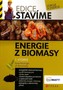 Energie z biomasy