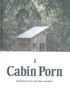 Cabin Porn