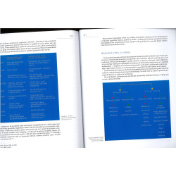 Architektura olympijských her